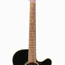 Takamine DMP500-6SP TBS *2008_6