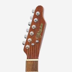 Takamine DMP500-6SP TBS *2008_7
