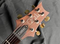 Paul Reed Smith [PRS] Custom 24 10 Top_6