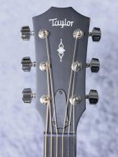 Taylor 【USA製 / オール単板】314ce V-Class_11