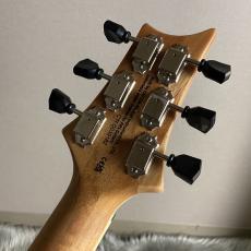 Paul Reed Smith [PRS] SE Zach Myers -Myers Blue 24.594スケール【現物画像】_6