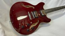 Ibanez AS73 TCR