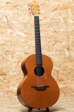 Lowden S-25 1990's_3