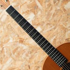 Lowden S-25 1990's_6