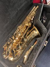 YANAGISAWA A-WO1