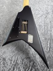 ESP ALEXI RIPPED【Alexi Laiho Signature Model】 お買い得旧価格品_3