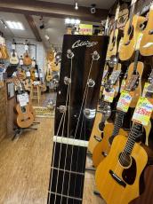 Collings D-2H AT【無金利キャンペーン】_5
