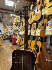 Collings D-2H AT【無金利キャンペーン】_6