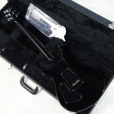 Paul Reed Smith [PRS] Custom 24 10Top Whale Blue【2002年製】_6