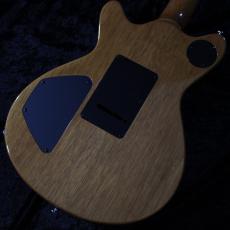 T's 【漆黒指板】Kurosawa Limited Arc-STD24 5A Flame Maple / Blue Steel【3.62kg】_5