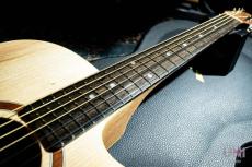 Maton PERFORMER_10