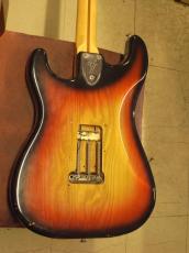 Fender STRATOCASTER改(1979)_5