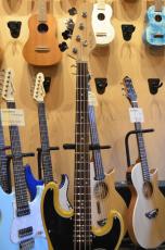 SCHECTER OL-TB/BSC/R_3