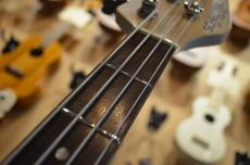 SCHECTER OL-TB/BSC/R_10