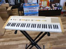 Roland EP-11 [RMW15]【阿倍野店在庫】