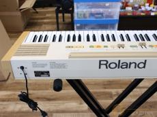 Roland EP-11 [RMW15]【阿倍野店在庫】_5