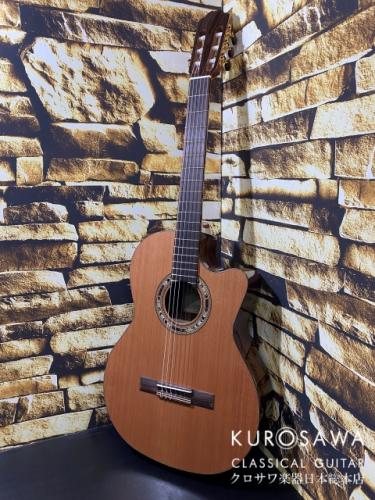 Orpheus Valley Guitars オルフェウス・ヴァレー・ギターズ Model:Verea【エレガット】【日本総本店2F在庫品】