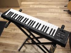 Roland A-500S [QMX27]【阿倍野店在庫】_2