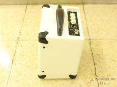 Ashdown Studio Tourbus Custom 10W [QM962]【神戸店在庫】_4