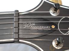 Paul Reed Smith [PRS] 30th Anniversary Custom 24 2014年製 【返品OK】[PMX05]【阿倍野店在庫】_8