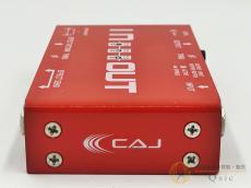 CUSTOM AUDIO JAPAN(CAJ) IN and OUT [PMR85]【箕面店在庫】_4