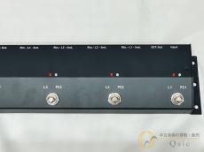 CUSTOM AUDIO JAPAN(CAJ) Loop And Link [PMS12]【箕面店在庫】_10