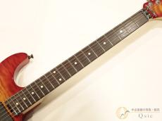 SCHECTER AC-AAG SIG 【返品OK】[PM009]【神戸店在庫】_3