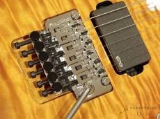 SCHECTER AC-AAG SIG 【返品OK】[PM009]【神戸店在庫】_10