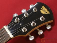 Pignose PGG-200 【返品OK】[PM058]【神戸店在庫】_4