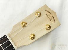 Headway HSC-TOCHI20 【返品OK】[OMN59]【梅田店在庫】_4