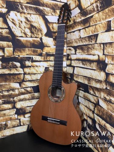 Orpheus Valley Guitars オルフェウス・バレー・ギターズ F65CW-7S 7弦 エレガット 杉・ローズ【日本総本店2F 在庫品】