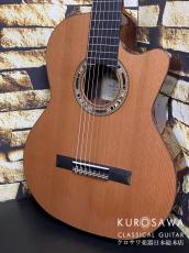 Orpheus Valley Guitars オルフェウス・バレー・ギターズ F65CW-7S 7弦 エレガット 杉・ローズ【日本総本店2F 在庫品】_2