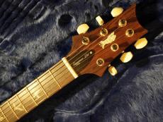 Paul Reed Smith [PRS] 2018 LTD Run Paul‘s Guitar【EX18】_5