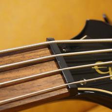 Epiphone Thunderbird BK_5