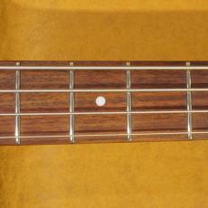 Epiphone Thunderbird BK_8
