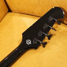 Epiphone Thunderbird BK_11