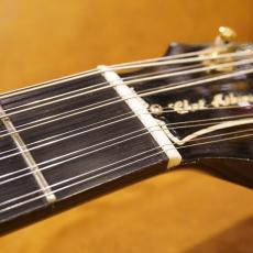 Gibson Gibson USA Chet Atkins SST 12 Strings Ebony_5