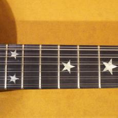 Gibson Gibson USA Chet Atkins SST 12 Strings Ebony_8