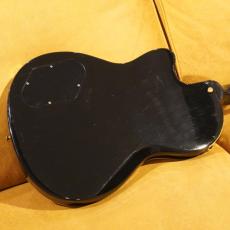 Gibson Gibson USA Chet Atkins SST 12 Strings Ebony_9