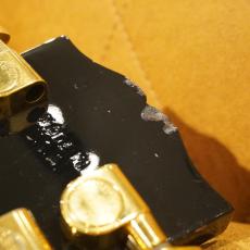 Gibson Gibson USA Chet Atkins SST 12 Strings Ebony_12
