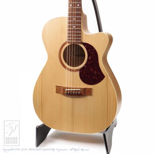 Maton Performer