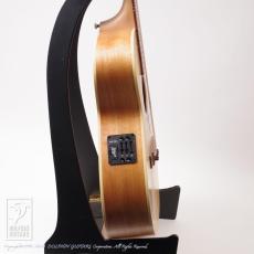 Maton Performer_5