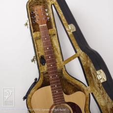 Maton Performer_8