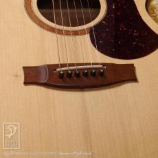 Maton Performer_11