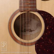 Maton Performer_12