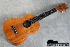 David Gomes Concert Custom (2011) 甘く優しいトーンで、ポロポロウクレレらしいサウンド。