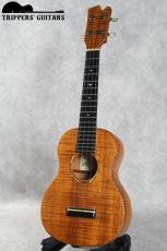 David Gomes Concert Custom (2011) 甘く優しいトーンで、ポロポロウクレレらしいサウンド。_2