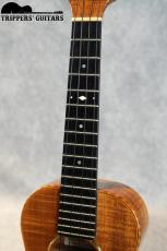 David Gomes Concert Custom (2011) 甘く優しいトーンで、ポロポロウクレレらしいサウンド。_7