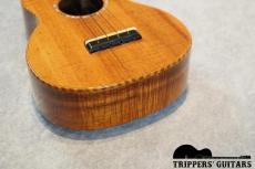 David Gomes Concert Custom (2011) 甘く優しいトーンで、ポロポロウクレレらしいサウンド。_13