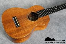 David Gomes Concert Custom (2011) 甘く優しいトーンで、ポロポロウクレレらしいサウンド。_14